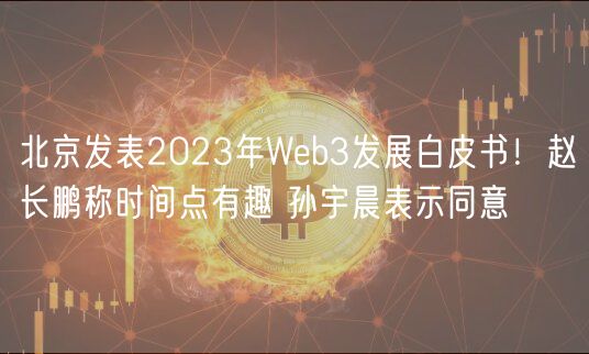 北京发表2023年Web3发展白皮书！赵长鹏称时间点有趣 孙宇晨表示同意