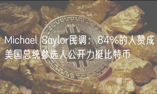 Michael Saylor民调：84%的人赞成美国总统参选人公开力挺比特币