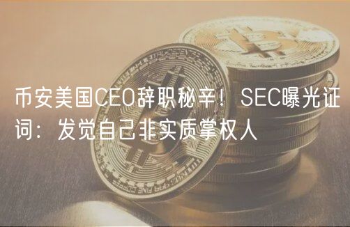 币安美国CEO辞职秘辛！SEC曝光证词：发觉自己非实质掌权人