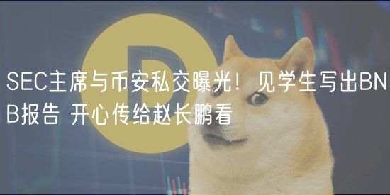 SEC主席与币安私交曝光！见学生写出BNB报告 开心传给赵长鹏看
