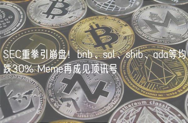 SEC重拳引崩盘！bnb、sol、shib、ada等均跌30% Meme再成见顶讯号