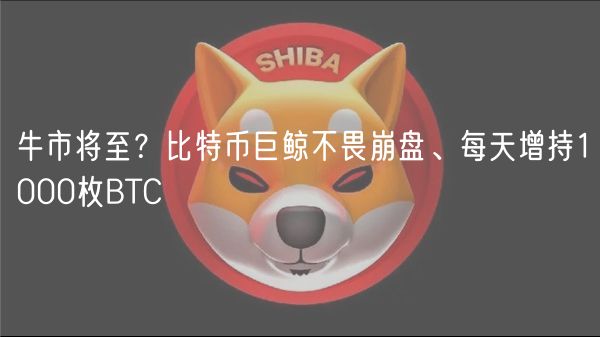牛市将至？比特币巨鲸不畏崩盘、每天增持1000枚BTC
