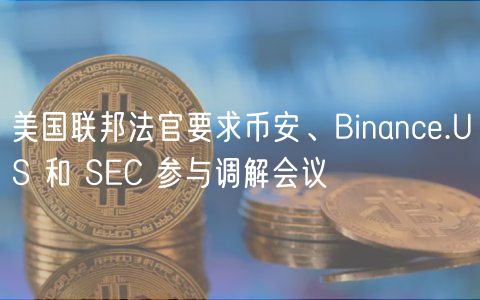 美国联邦法官要求币安、Binance.US 和 SEC 参与调解会议