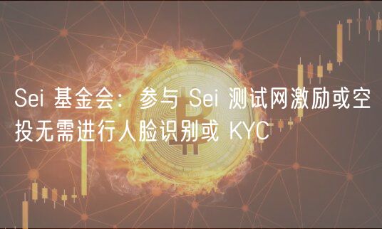 Sei 基金会：参与 Sei 测试网激励或空投无需进行人脸识别或 KYC