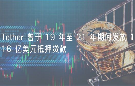 Tether 曾于 19 年至 21 年期间发放 116 亿美元抵押贷款