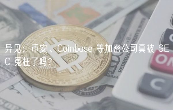 异见：币安、Coinbase 等加密公司真被 SEC 冤枉了吗？