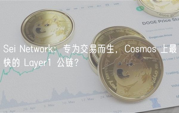 Sei Network：专为交易而生，Cosmos 上最快的 Layer1 公链？