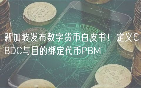 新加坡发布数字货币白皮书!定义CBDC与目的绑定代币PBM