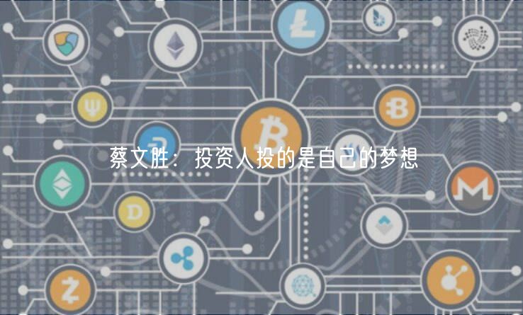 蔡文胜：投资人投的是自己的梦想