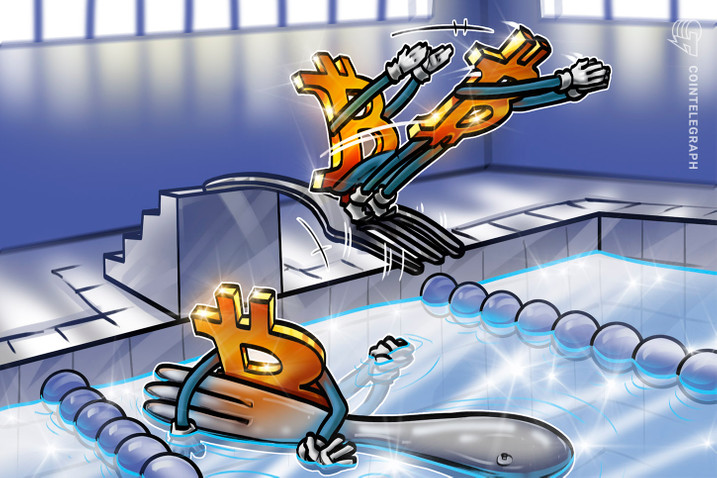 BCH、BSV 和 EC上个月上涨可观 能否保持收益？