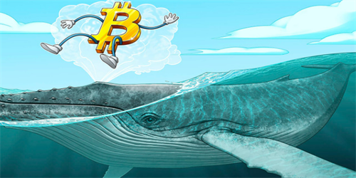比特币鲸鱼交易所流入份额再创一年以来新高