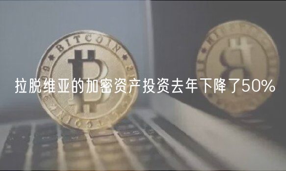 拉脱维亚的加密资产投资去年下降了50%