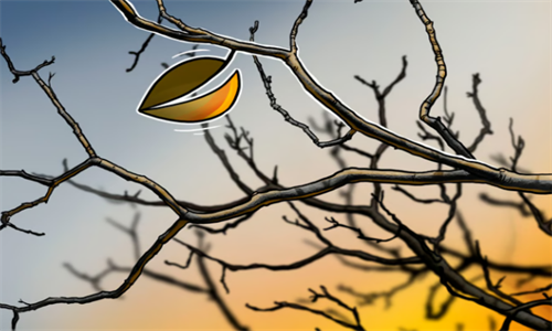 iFine提议回购1.5亿美元Bitfine黑客受害者的股票