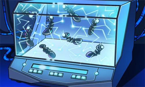 Solana Labs推出Web3孵化器 为开发者提供全方位支持和筹款援助