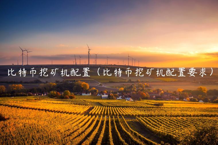 比特币挖矿机配置（比特币挖矿机配置要求）