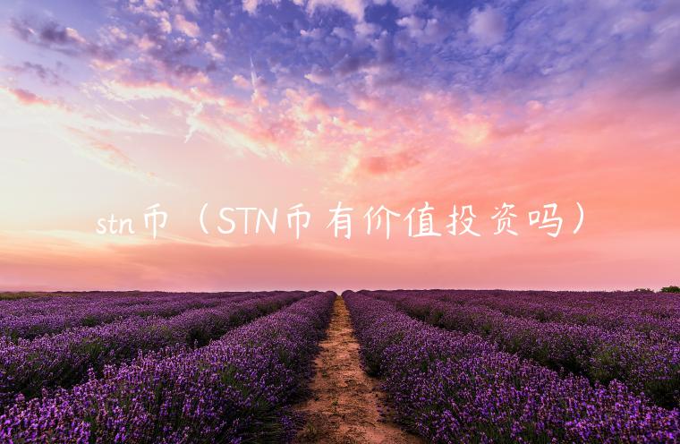 stn币（STN币有价值投资吗）
