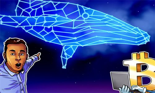 比特币大涨至4万美元 谨防鲸鱼游戏风险