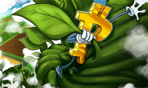 比特币跃升至45,000美元：潜在ETF批准带来市场热潮