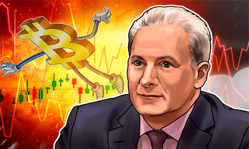 彼得·希夫发言现货比特币ETF将引发比特币崩盘