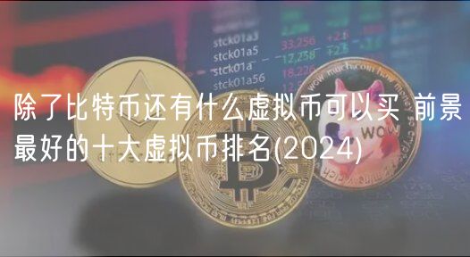 除了比特币还有什么虚拟币可以买 前景最好的十大虚拟币排名 _ 2024
