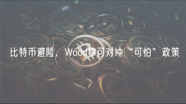 比特币避险，Wood称可对冲“可怕”政策