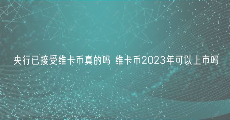央行已接受维卡币真的吗 维卡币2024年可以上市吗