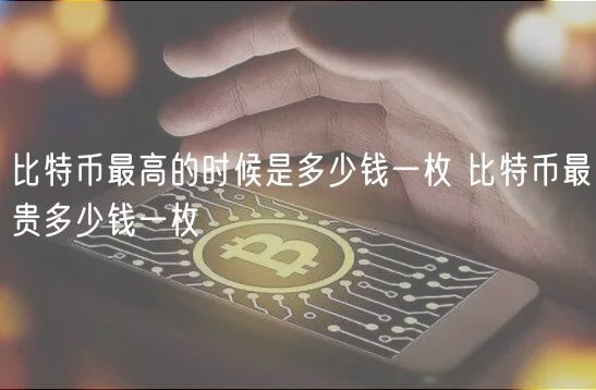 比特币最高的时候是多少钱一枚 比特币最贵多少钱一枚