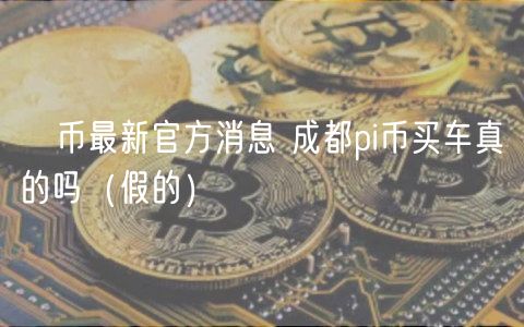 π币最新官方消息 成都pi币买车真的吗(假的)