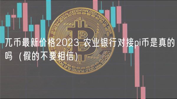 兀币最新价格2024 金融企业对接pi币是真的吗（假的不要相信）