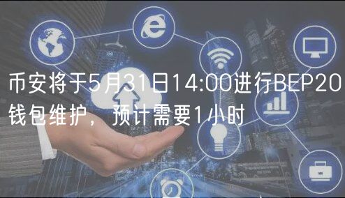 币安BEP20钱包维护 币 安交易软件下载2024