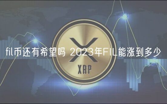 fil币还有希望吗 2024年FIL能涨到多少