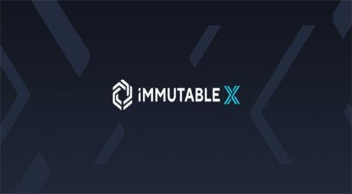 IM币是BRC20代币还是ERC20代币? 与您一同摸清IM币底细