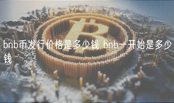 bnb币发行价格是多少钱 bnb一开始是多少钱