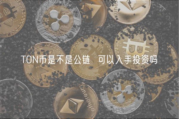 TON币是不是公链  可以入手投资吗