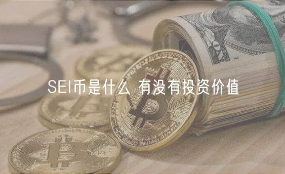 SEI币是什么 有没有投资价值