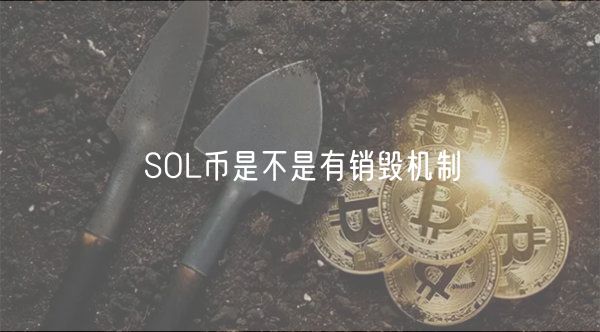SOL币是不是有销毁机制