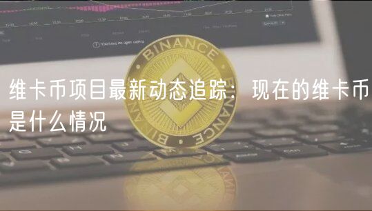 维卡币项目最新动态追踪：现在的维卡币是什么情况