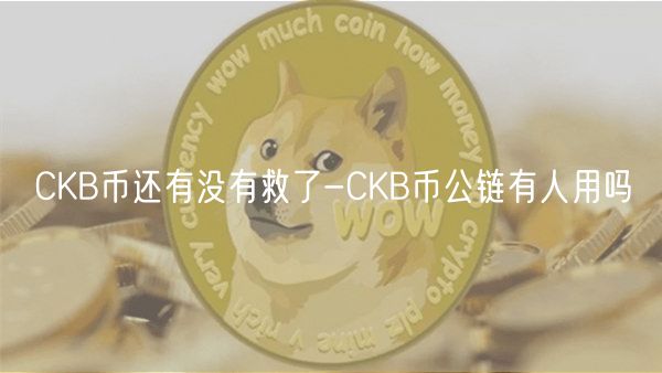 CKB币还有没有救了-CKB币公链有人用吗