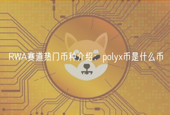 RWA赛道热门币种介绍：poly币是什么币