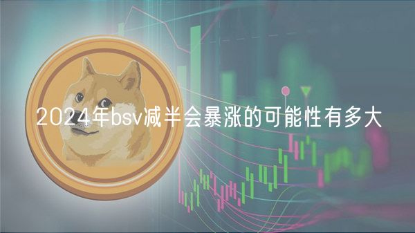 2024年bsv减半会暴涨的可能性有多大