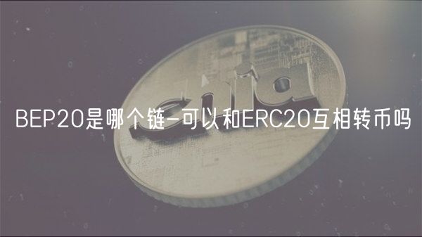 BEP20是哪个链-可以和ERC20互相转币吗
