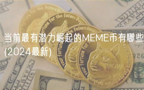 当前最有潜力崛起的MEME币有哪些 _ 2024最新