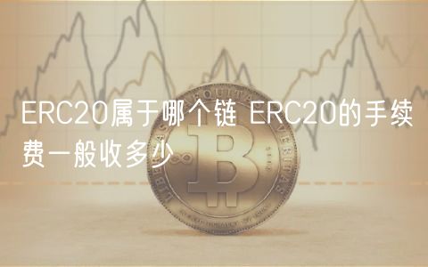 ERC20属于哪个链 ERC20的手续费一般收多少