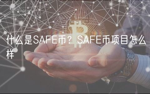 什么是SAFE币？SAFE币项目怎么样