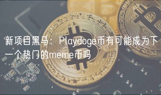 新项目黑马：Playdoge币有可能成为下一个热门的meme币吗