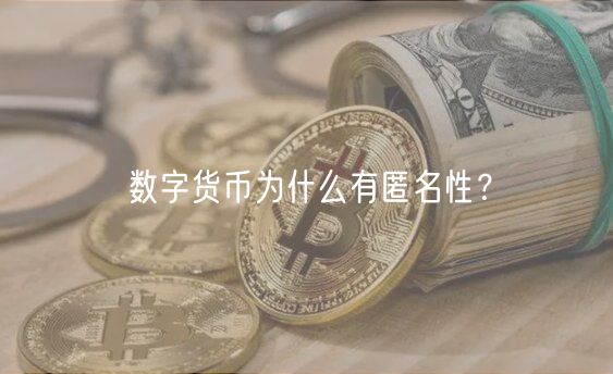 数字货币为什么有匿名性？
