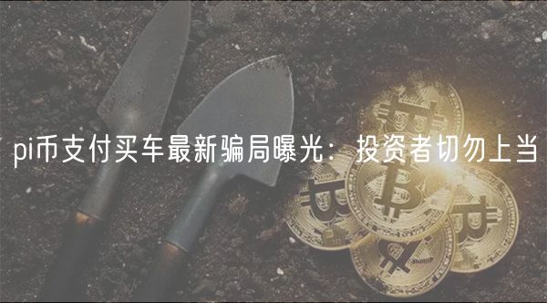 pi币支付买车最新骗局曝光：投资者切勿上当