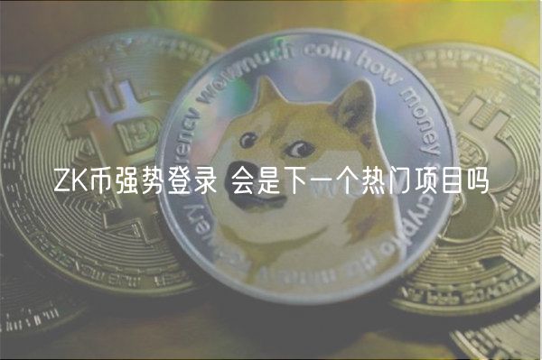 ZK币强势登录 会是下一个热门项目吗