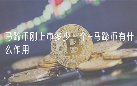 马蹄币刚上市多少一个-马蹄币有什么作用