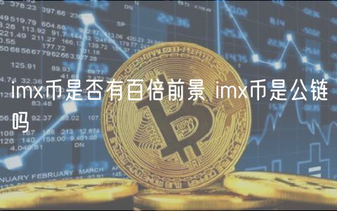 im币是否有百倍前景 im币是公链吗